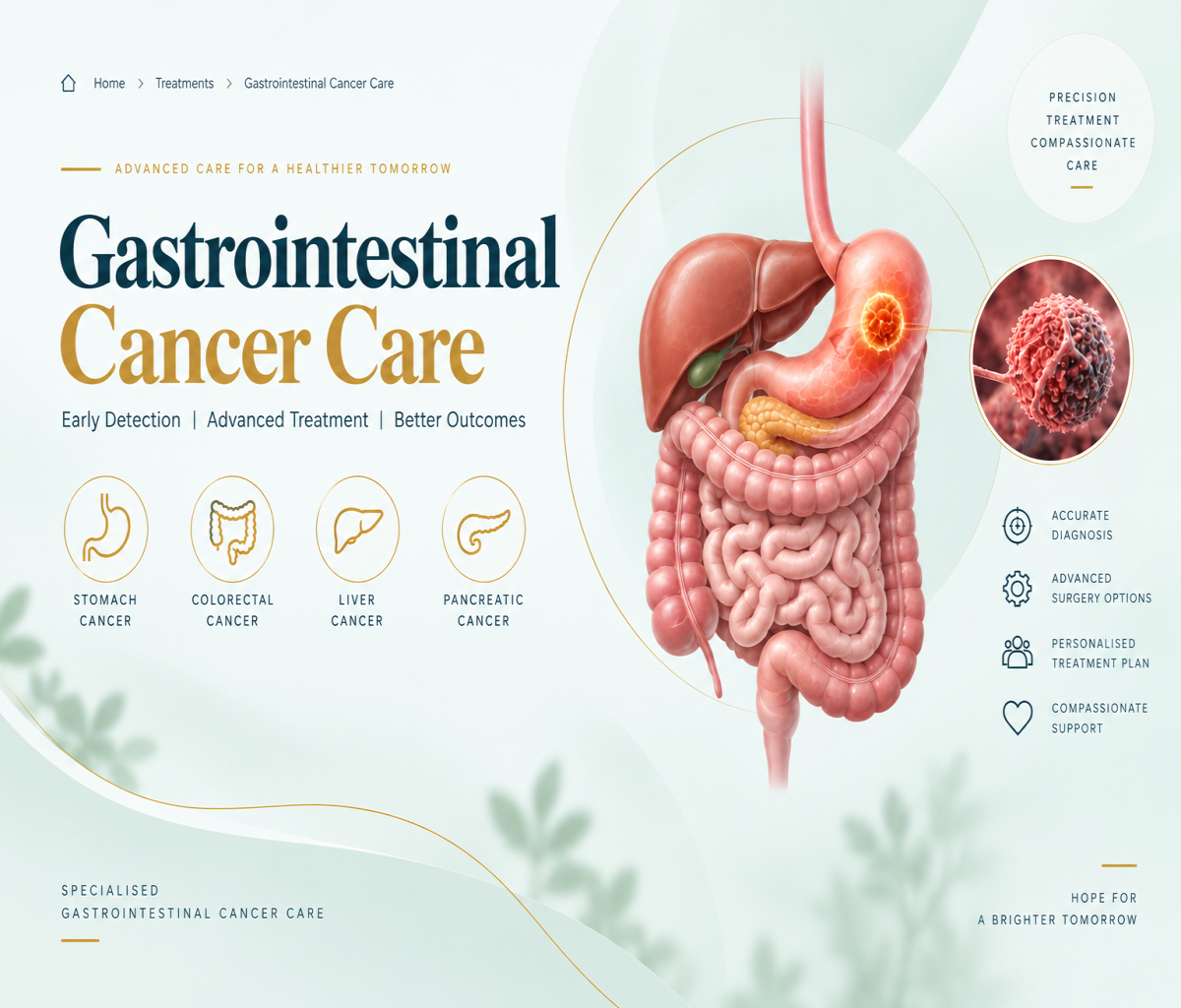 Gastrointestinal cancer organs and treatment overview