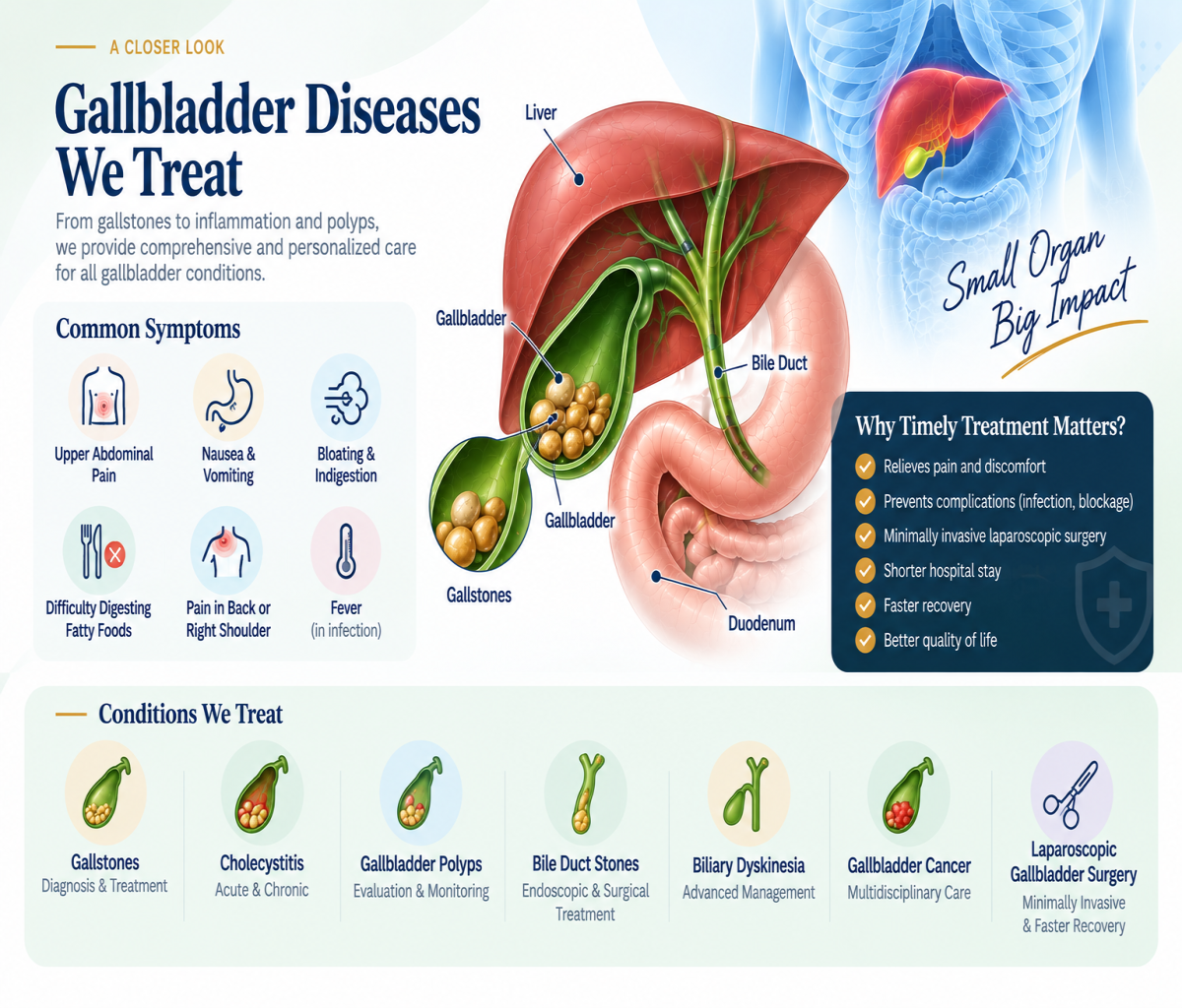 Gallbladder Diseases, Gallstones Diagnosis and Treatment