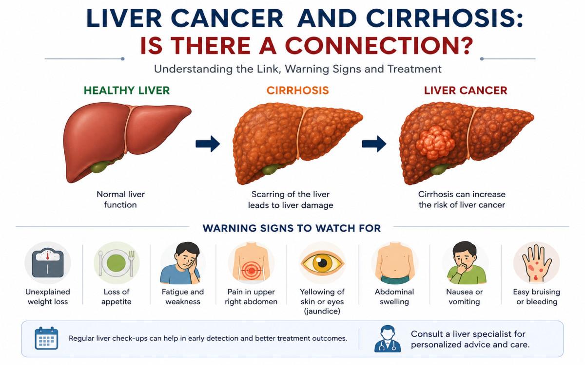 Liver Cancer and Cirrhosis: Is There a Connection? Causes, Warning Signs and Treatment
