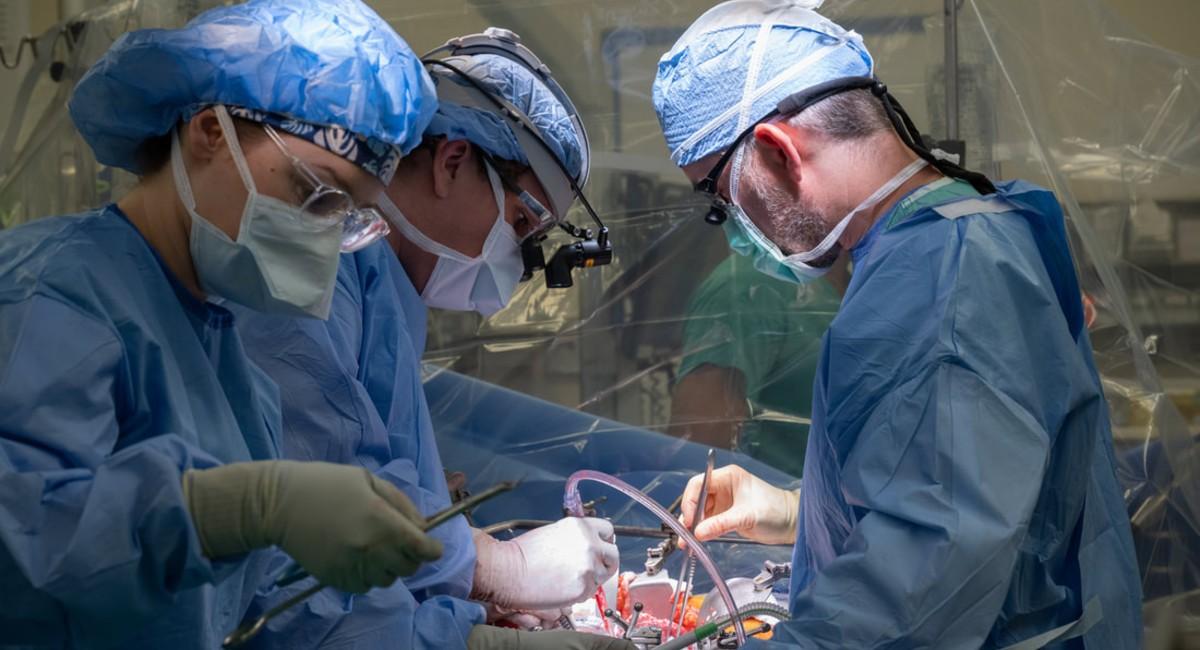 Liver Transplant in Delhi: Advanced Care at Max Hospital Patparganj with Dr Amit Jain